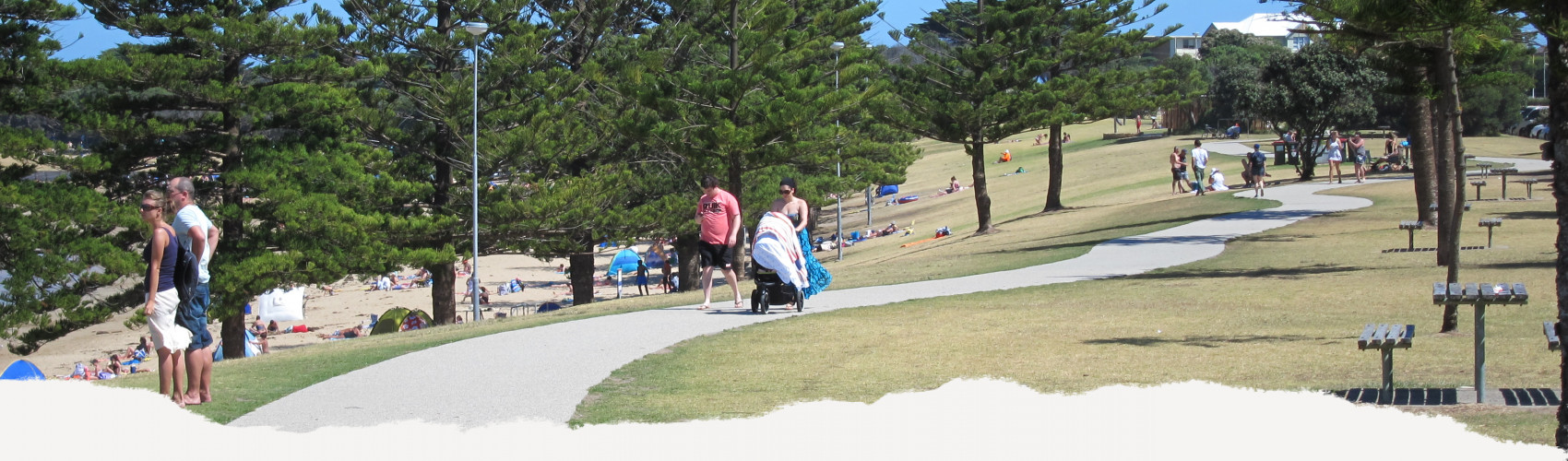 Strolling on a concrete path next to the beach with norfolk pines 
