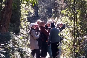 Angair Wildflower guided nature walk