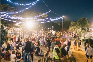 Torquay Nightjar live music and lights